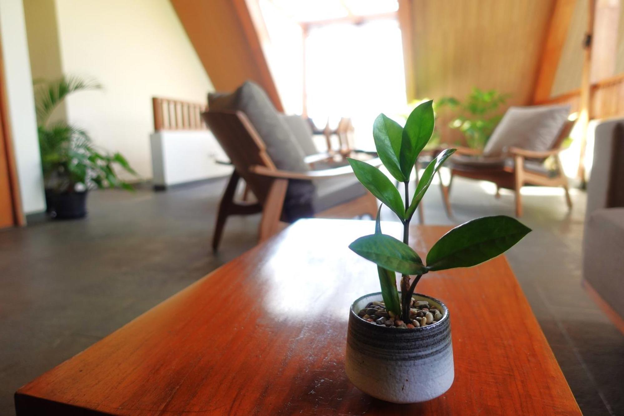 The Vinaya Boutique Hotel Ubud Dış mekan fotoğraf